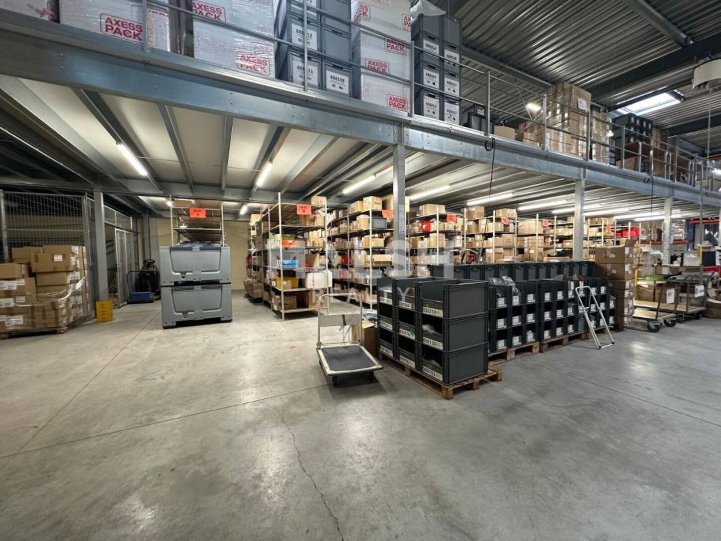 MALSH Realty & Property - Local d'activités - Plateau Nord / Val de Saône - Rillieux-la-Pape - 2