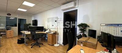 MALSH Realty & Property - Local d'activités - Plateau Nord / Val de Saône - Rillieux-la-Pape - 8