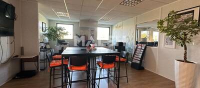 MALSH Realty & Property - Local d'activités - Plateau Nord / Val de Saône - Rillieux-la-Pape - 10