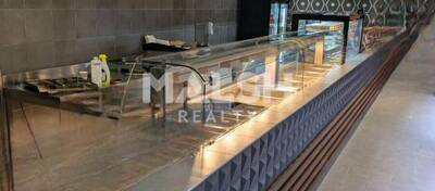 MALSH Realty & Property - Local commercial - Carré de Soie / Grand Clément / Bel Air - Villeurbanne - 3