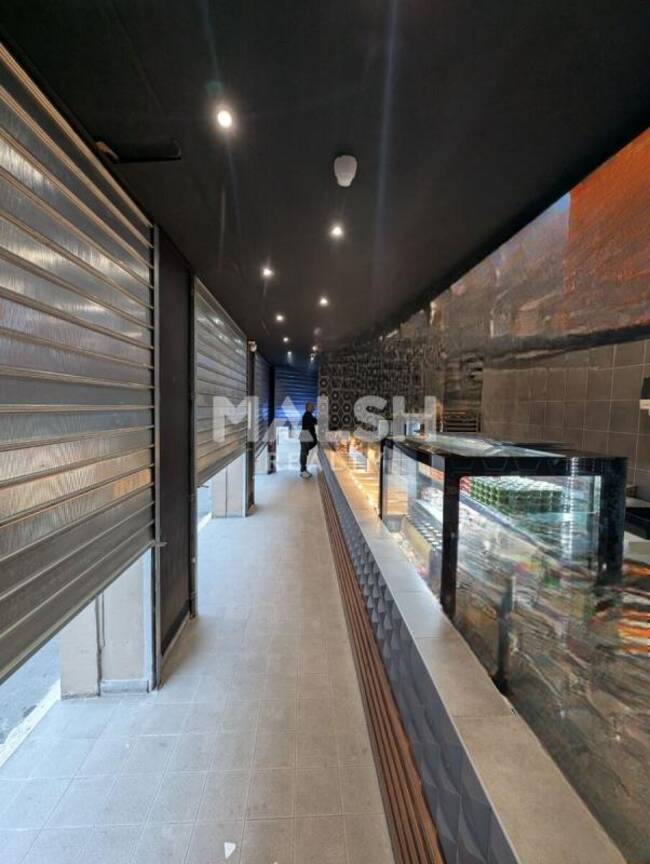 MALSH Realty & Property - Local commercial - Carré de Soie / Grand Clément / Bel Air - Villeurbanne - 1