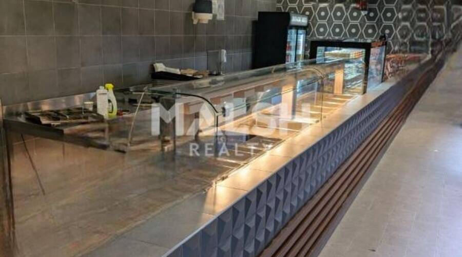 MALSH Realty & Property - Local commercial - Carré de Soie / Grand Clément / Bel Air - Villeurbanne - 3