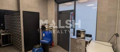 MALSH Realty & Property - Local commercial - Carré de Soie / Grand Clément / Bel Air - Villeurbanne - 5