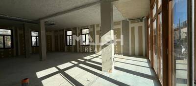 MALSH Realty & Property - Local commercial - Carré de Soie / Grandclément / Bel Air - Villeurbanne - 3