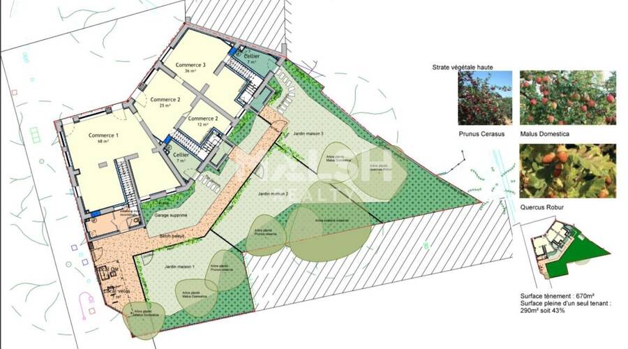MALSH Realty & Property - Local commercial - Carré de Soie / Grandclément / Bel Air - Villeurbanne - 5