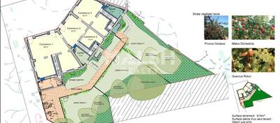 MALSH Realty & Property - Local commercial - Carré de Soie / Grandclément / Bel Air - Villeurbanne - 5