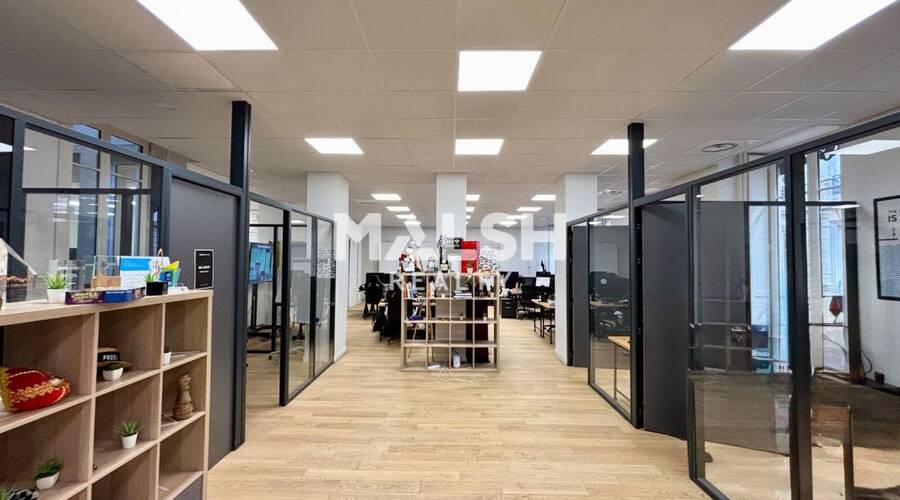 MALSH Realty & Property - Bureau - Lyon 1 - Lyon 2 - 3