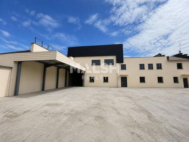 MALSH Realty & Property - Local d'activités - Carré de Soie / Grand Clément / Bel Air - Villeurbanne - 1