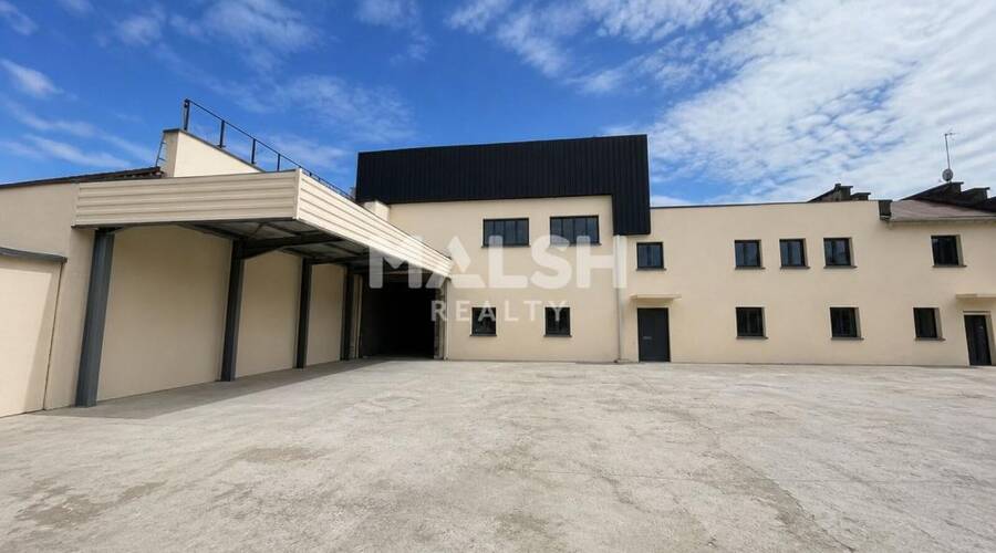 MALSH Realty & Property - Local d'activités - Carré de Soie / Grand Clément / Bel Air - Villeurbanne - 1