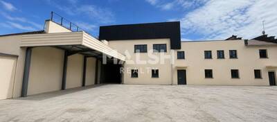 MALSH Realty & Property - Local d'activités - Carré de Soie / Grand Clément / Bel Air - Villeurbanne - 1