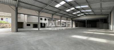 MALSH Realty & Property - Local d'activités - Carré de Soie / Grand Clément / Bel Air - Villeurbanne - 2