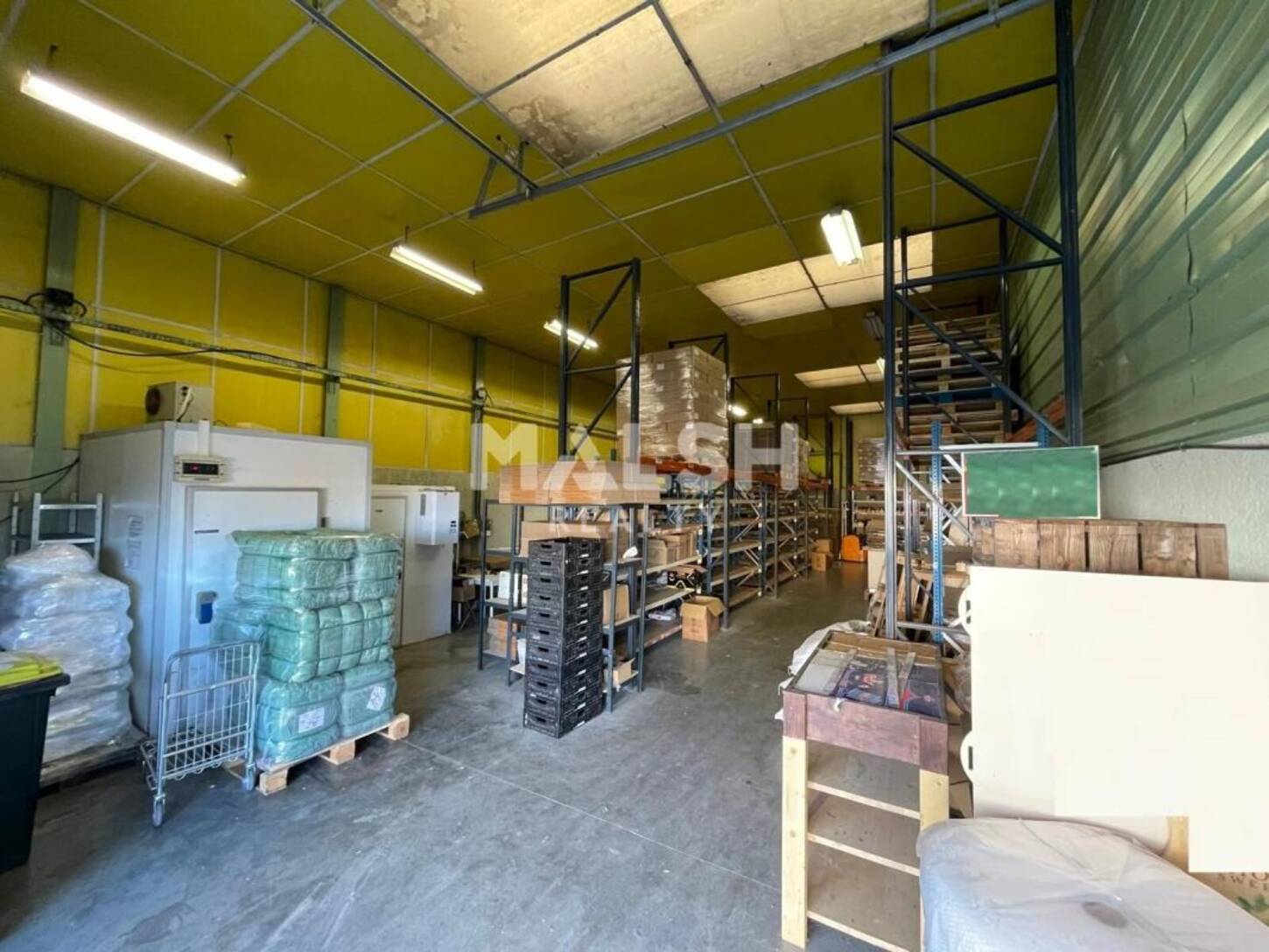 MALSH Realty & Property - Local d'activités - Carré de Soie / Grand Clément / Bel Air - Villeurbanne - 2