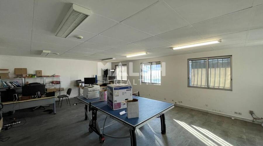 MALSH Realty & Property - Local d'activités - Carré de Soie / Grand Clément / Bel Air - Villeurbanne - 4