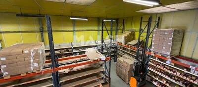 MALSH Realty & Property - Local d'activités - Carré de Soie / Grand Clément / Bel Air - Villeurbanne - 3