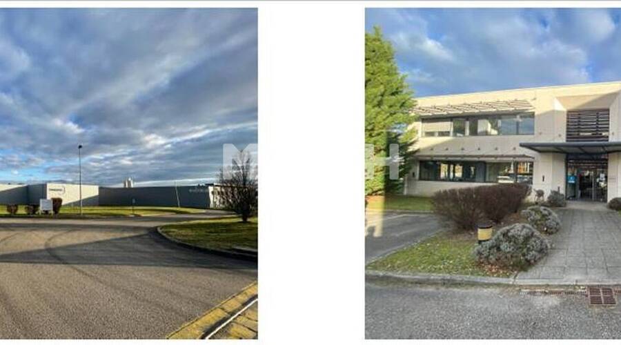 MALSH Realty & Property - Local d'activités - Lyon Sud Ouest - Chaponost - 8