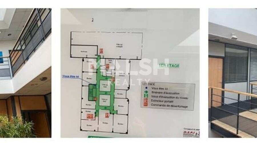 MALSH Realty & Property - Local d'activités - Lyon Sud Ouest - Chaponost - 12
