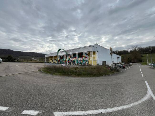 MALSH Realty & Property - Local commercial - Nord Isère ( Ile d'Abeau / St Quentin Falavier ) - Badinières - 1