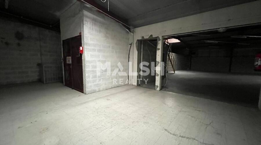 MALSH Realty & Property - Local commercial - Nord Isère ( Ile d'Abeau / St Quentin Falavier ) - Badinières - 3