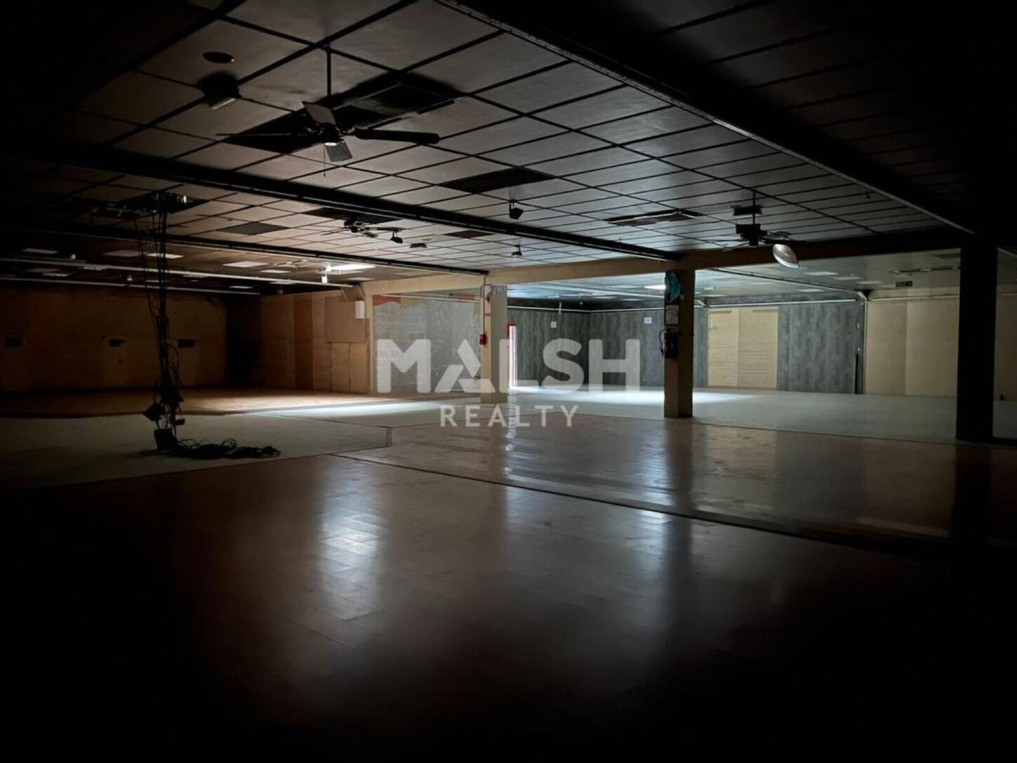 MALSH Realty & Property - Local commercial - Nord Isère ( Ile d'Abeau / St Quentin Falavier ) - Badinières - 2