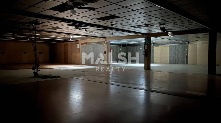 MALSH Realty & Property - Local commercial - Nord Isère ( Ile d'Abeau / St Quentin Falavier ) - Badinières - 2