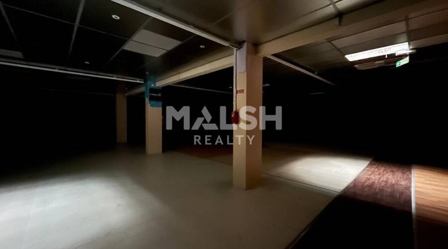 MALSH Realty & Property - Local commercial - Nord Isère ( Ile d'Abeau / St Quentin Falavier ) - Badinières - 6