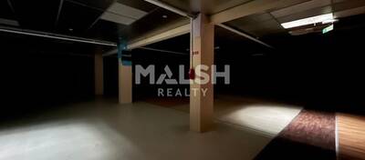 MALSH Realty & Property - Local commercial - Nord Isère ( Ile d'Abeau / St Quentin Falavier ) - Badinières - 6