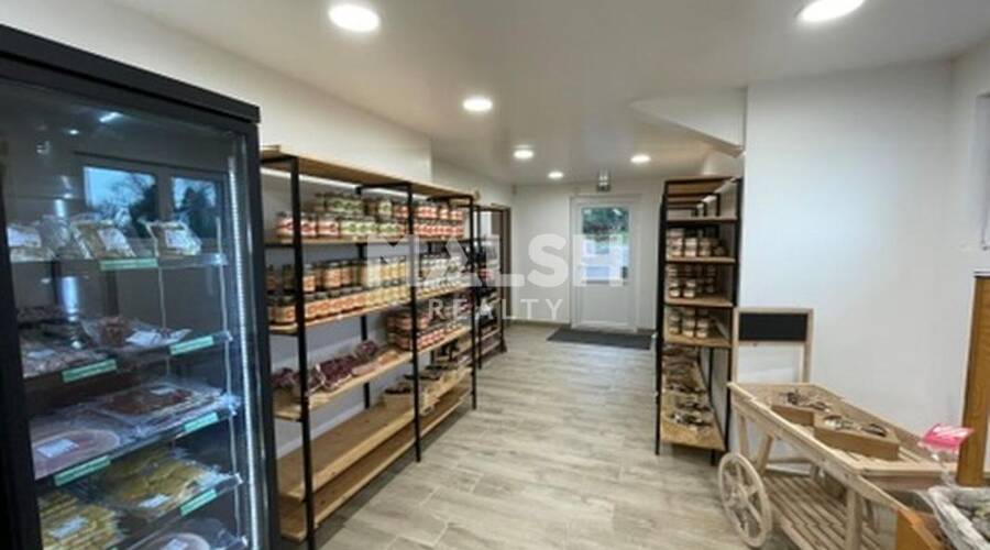 MALSH Realty & Property - Local d'activités - Nord 42 - Saint-Haon-le-Vieux - 3