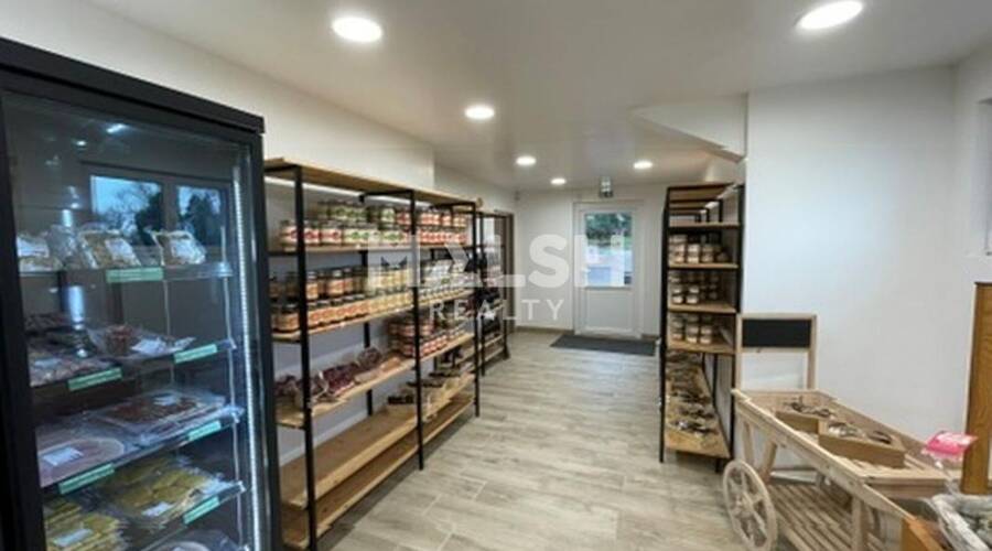 MALSH Realty & Property - Local d'activités - Nord 42 - Saint-Haon-le-Vieux - 5