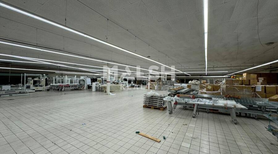 MALSH Realty & Property - Local d'activités - Saint Etienne - Saint-Étienne - 1