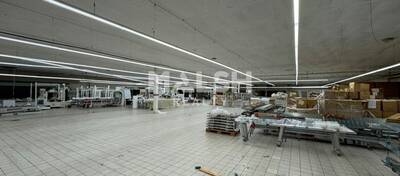 MALSH Realty & Property - Local d'activités - Saint Etienne - Saint-Étienne - 1