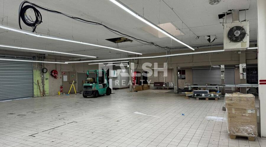 MALSH Realty & Property - Local d'activités - Saint Etienne - Saint-Étienne - 3