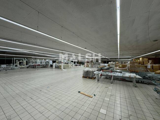 MALSH Realty & Property - Local d'activités - Saint-Etienne Métropole - Saint-Étienne - 1