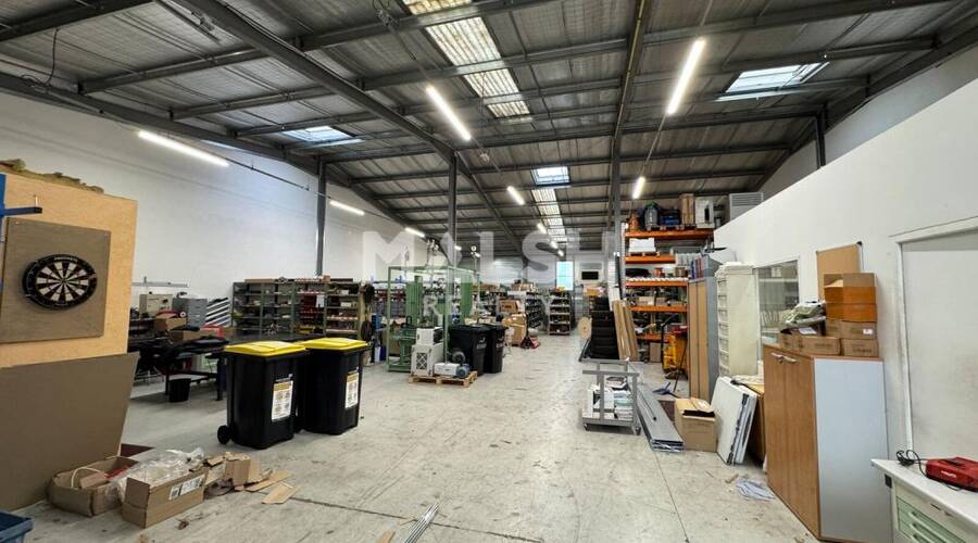 MALSH Realty & Property - Local d'activités - Saint Etienne - Saint-Étienne - 1