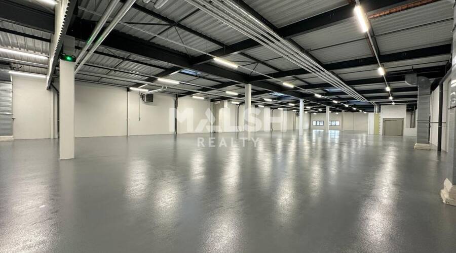 MALSH Realty & Property - Local d'activités - Plateau Nord / Val de Saône - Caluire-et-Cuire - 1