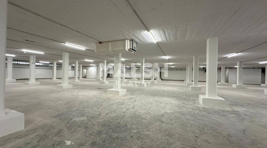 MALSH Realty & Property - Local d'activités - Plateau Nord / Val de Saône - Caluire-et-Cuire - 8