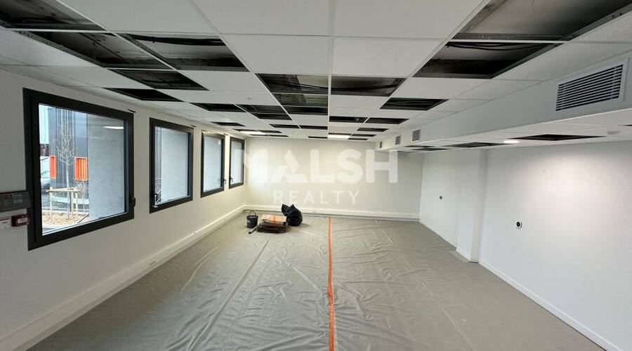 MALSH Realty & Property - Local d'activités - Plateau Nord / Val de Saône - Caluire-et-Cuire - 12