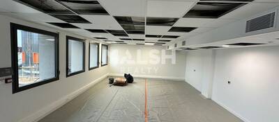 MALSH Realty & Property - Local d'activités - Plateau Nord / Val de Saône - Caluire-et-Cuire - 12