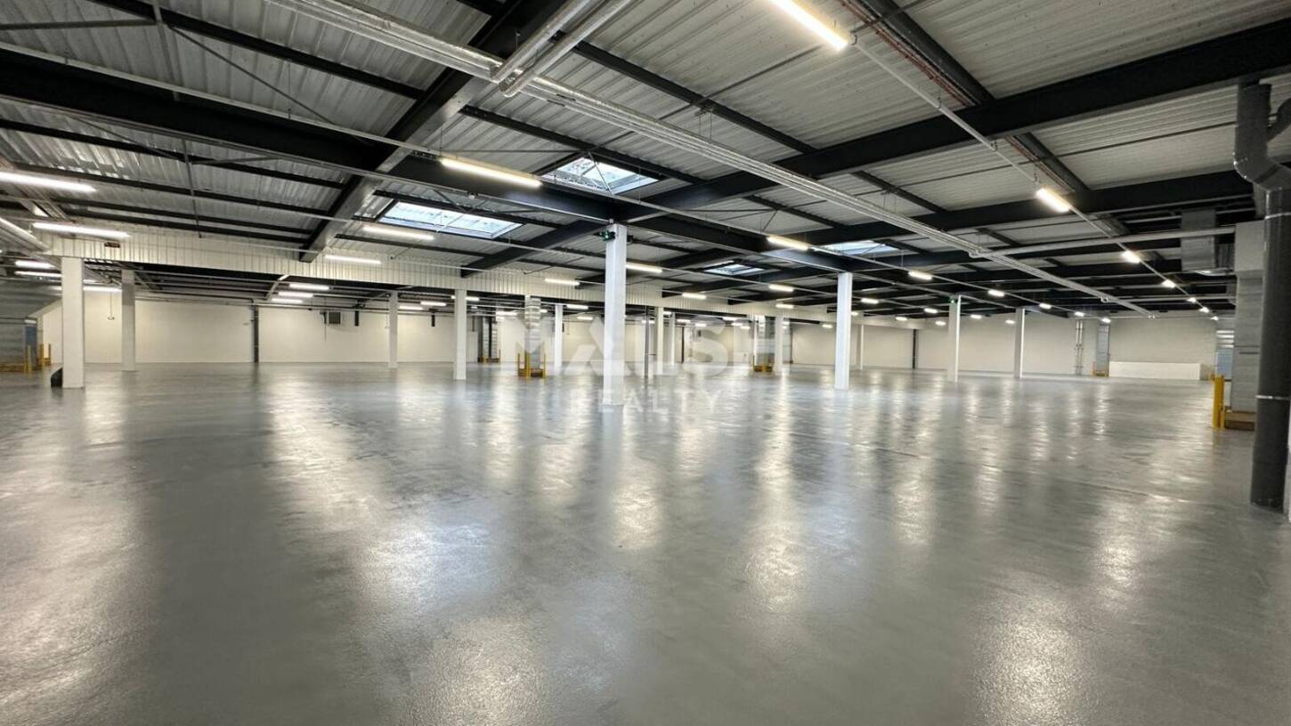 MALSH Realty & Property - Local d'activités - Plateau Nord / Val de Saône - Caluire-et-Cuire - 2