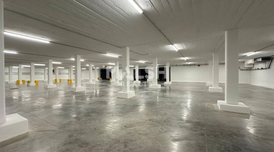 MALSH Realty & Property - Local d'activités - Plateau Nord / Val de Saône - Caluire-et-Cuire - 6