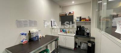 MALSH Realty & Property - Local d'activités - Extérieurs OUEST (Tarare / Arbresle) - Messimy - 8