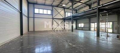 MALSH Realty & Property - Local d'activités - Carré de Soie / Grand Clément / Bel Air - Vaulx-en-Velin - 2