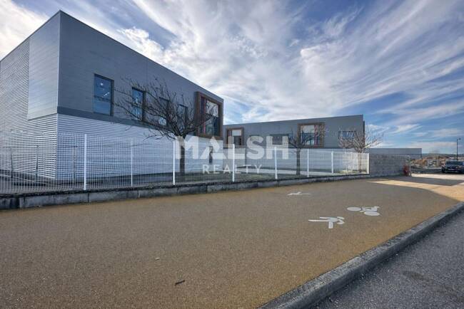 MALSH Realty & Property - Local d'activités - Carré de Soie / Grand Clément / Bel Air - Vaulx-en-Velin - 1