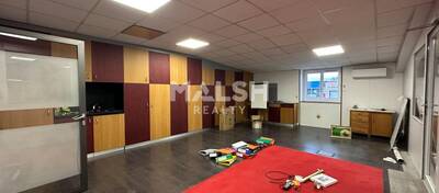 MALSH Realty & Property - Local d'activités - Lyon EST (St Priest /Mi Plaine/ A43 / Eurexpo) - Chassieu - 8