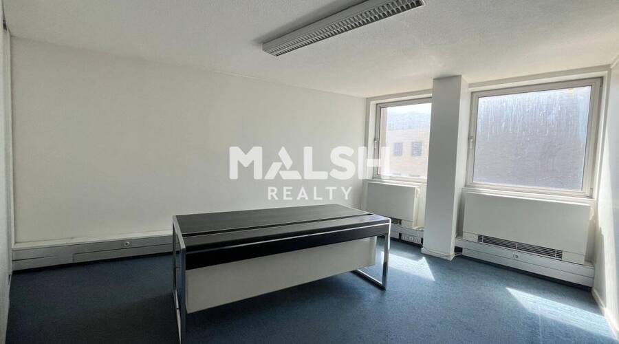 MALSH Realty & Property - Bureau - Carré de Soie / Grandclément / Bel Air - Villeurbanne - 6