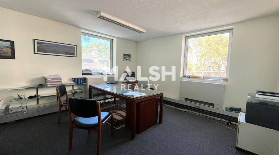 MALSH Realty & Property - Bureau - Carré de Soie / Grandclément / Bel Air - Villeurbanne - 10