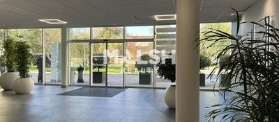 MALSH Realty & Property - Bureau - Plateau Nord / Val de Saône - Caluire-et-Cuire - 3