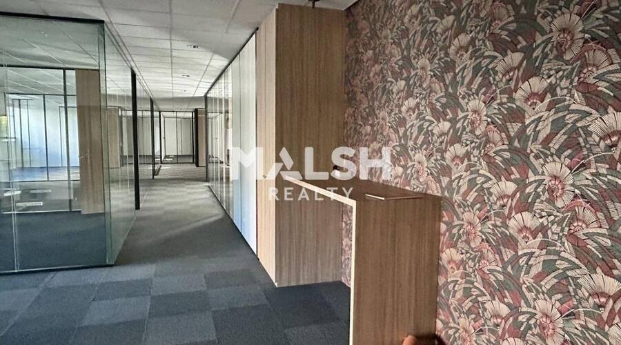 MALSH Realty & Property - Bureau - Plateau Nord / Val de Saône - Caluire-et-Cuire - 4