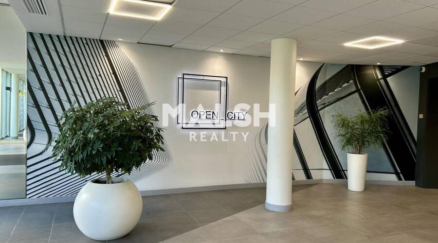 MALSH Realty & Property - Bureau - Plateau Nord / Val de Saône - Caluire-et-Cuire - 2