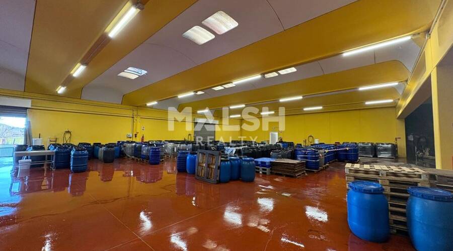 MALSH Realty & Property - Local d'activités - Montagny - 2