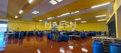 MALSH Realty & Property - Local d'activités - Montagny - 2